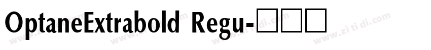 OptaneExtrabold Regu字体转换